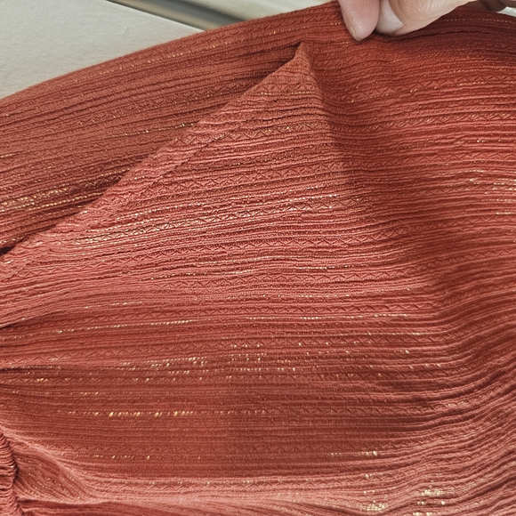 Express Rust Jumpsuit - Picture 3 of 9